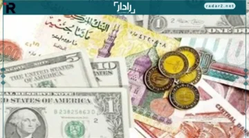 سعر الدولار مقابل الجنيه المصري يستقر في تعاملات اليوم